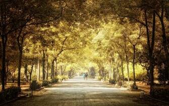 Pathways Organic Nature Scenic Background Image Parks