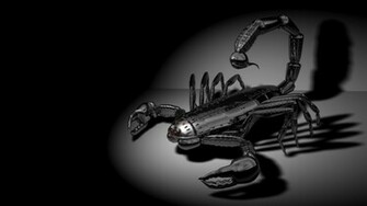 HD Photo Gallery Dark Wallpaper Full 1080p