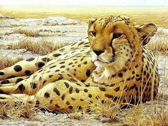 All About Animal Wildlife Cheetah Cool HD Wallpaper