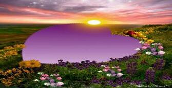 Spring Love Sunset Hq Wallpaper
