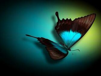 Neon Butterfly
