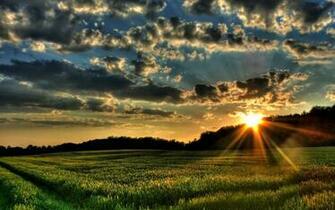 999Image Spring Morning Sunrise Wallpaper Html