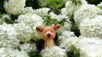 Wallpaper April Showers Bring May Flowers Elf