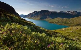 Green Mountains Wallpaper