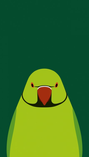 Rose Ringed Parakeet Bird Wallpaper For iPhone By Birnimal On