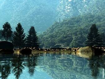 World Most Beautiful Nature Wallpaper