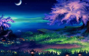 Wallpaper Grass Lake Shore A Month Night Sakura Lights
