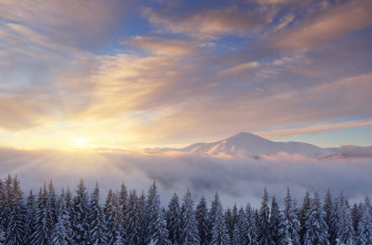 Nature Winter 4k Ultra HD Wallpaper