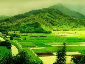Full HD Nature Background Wallpaper For