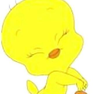 Tweety Bird Wallpaper