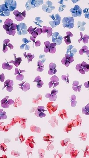 Purple Aesthetic Wallpaper