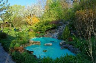 Under The Spring Wallpaper Category Of HD Time