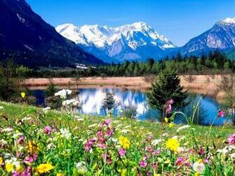 Spring Pictures For Wallpaper Which Is Under The