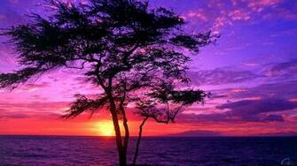 Maui Hawaii X Widescreen Desktop Wallpaper And Photos