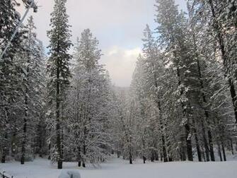 Winter Desktop Wallpaper Resolutions In HD