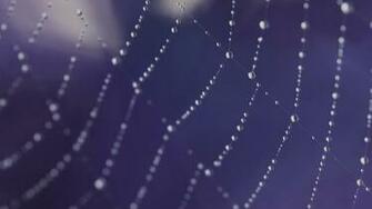 HD Notebook Web Wallpaper Background
