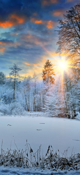 Sunbeams Landscape Snow In Winter Trees 4k iPhone Xs Wallpaper