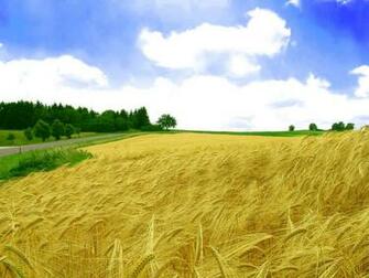 Wallpaper Fair HD Home Screen
