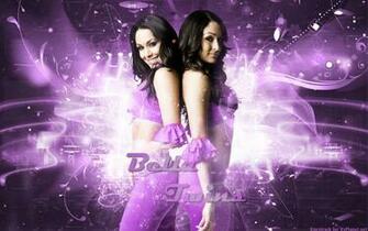 Wwe Wallpaper The Bella Twins Bellas Brie Nikki