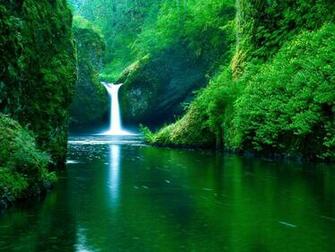 Tag Windows Nature Wallpaper Background Photos Image And