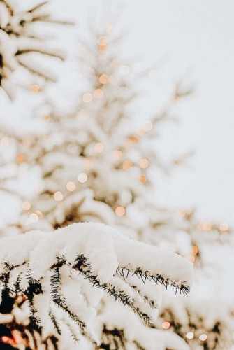 Winter Aesthetic Phone Wallpaper