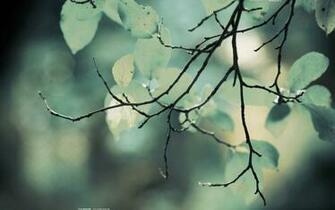 Windows Lock Screen Wallpaper I Ve Always Loved This As A