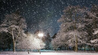 Winter Wallpaper And Other Nature Desktop Background Full HD