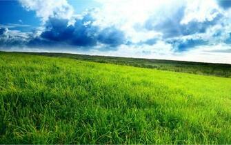 Wallpaper Windows Xp Desktop Windows7
