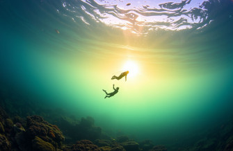 Diving Wallpaper