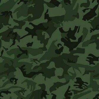 Pictures Max Oak Camo Advantage Jordans Camouflage Self Portraits