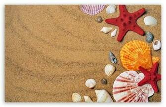 Summer Holiday Background HD Wallpaper For Wide Widescreen