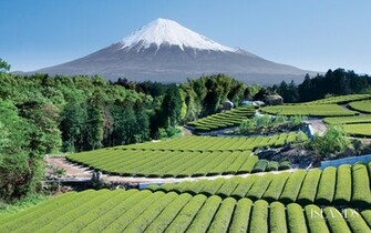Mount Fuji Japan Wallpaper