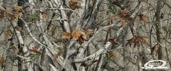 Hunting Camouflage Background Our Camo Pattern Lineup