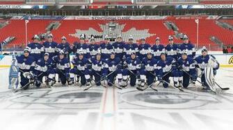 Leafs Wallpaper Nation