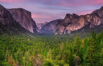 Yosemite In Spring Collection
