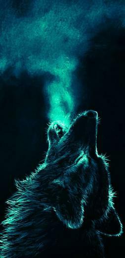 I Howling Everday And Every Night Fondo De Pantalla Lobo