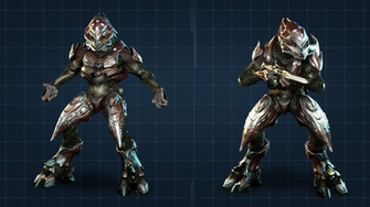 Halo Storm Elite Zealot By Commandernova702