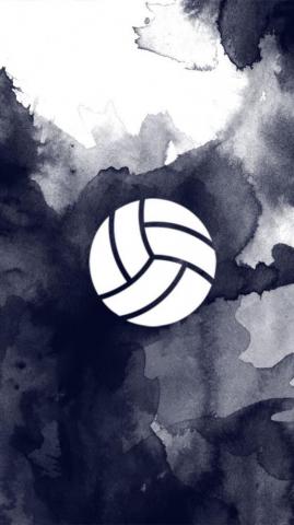 The Best Volleyball Wallpaper Ideas