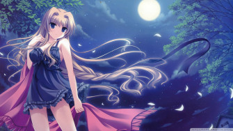 Sexy Anime Wallpaper HD