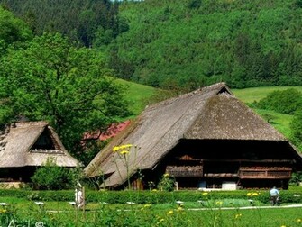 Black Forest Germany Wallpaper