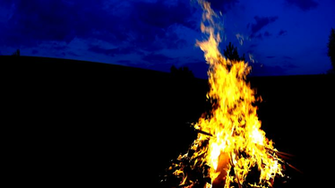 Photo Bonfire Background 2d Bush