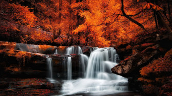Fall Beautiful HD Desktop Wallpaper 4k Image