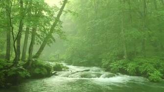 This Is For You To Relax And Take Your Stress Out Part1