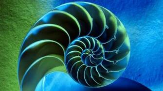 HD Wallpaper Metatron Cube Sacred Geometry X Kb Jpeg