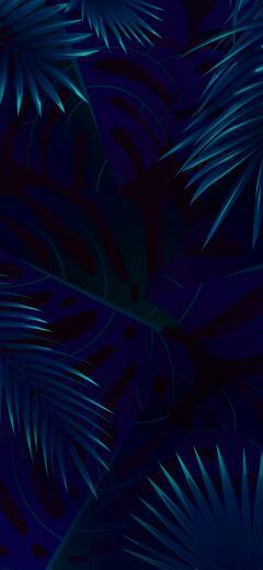 Vivo Nex Logo Phone Mobile Stock Wallpaper6 With Image