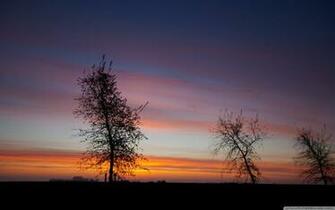 Wallpaper Winter Sunrise Nature Picsfab Desktop