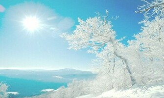 Pretty Background Wallpaper
