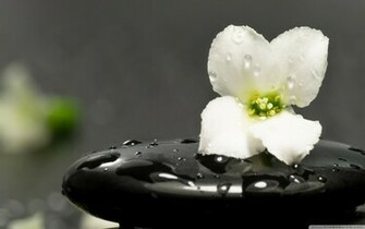HD Eye Relaxing Wallpaper