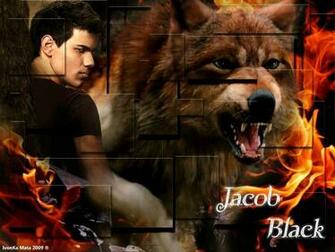 Twilight Series Image Jacob Black HD Wallpaper And