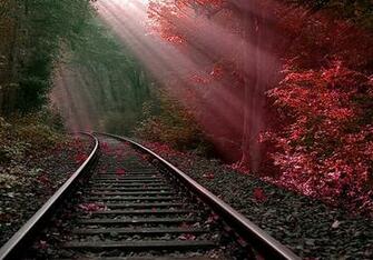 Railroad HD Wallpaper Background Image